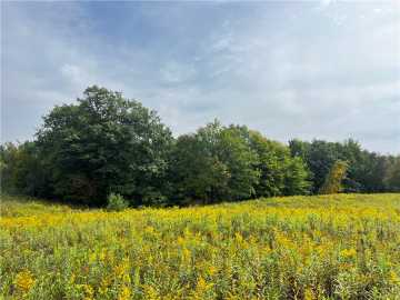 20 acres in Weyerhaeuser