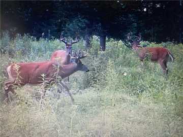 122 acres in Ladysmith
