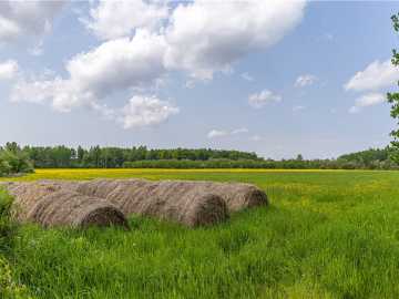 60 acres in Glen Flora