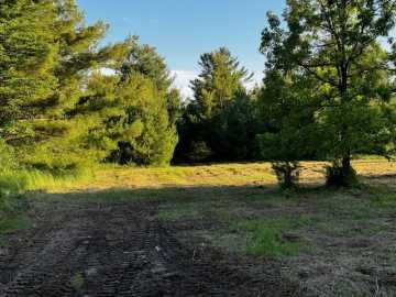 29.3 acres in Neillsville