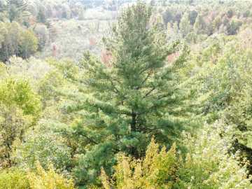 40 acres in Granton