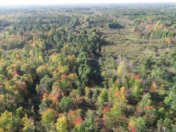 82.5 acres in Grantsburg