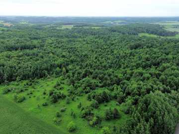 45 acres in Colfax