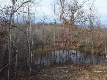 32.81 acres in Trego