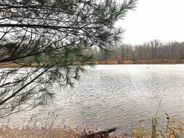 81.91 acres in Comstock