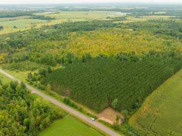 51.46 acres in Barron