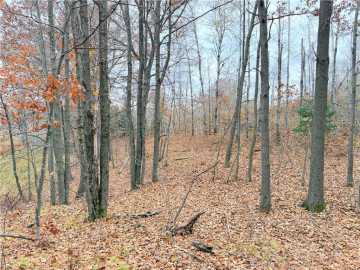 20 acres in Weyerhaeuser