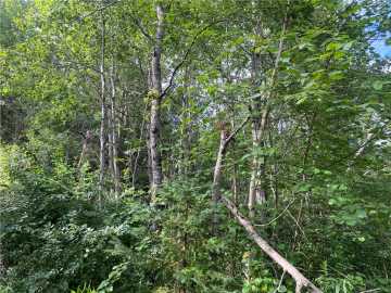 120 acres in Winter