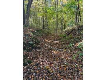 36.82 acres in Turtle Lake