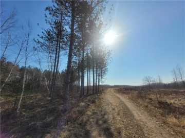 40 acres in Loretta