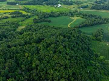 373 acres in Blair