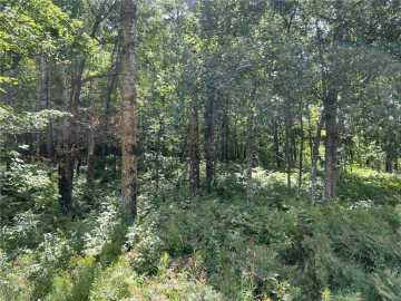 40 acres in Siren