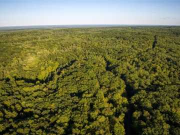 2351 acres in Exeland