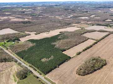 79 acres in Eleva