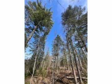 44 acres in Spooner