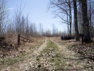 1260 acres in Gordon