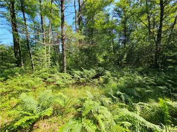 40 acres in Black River Falls