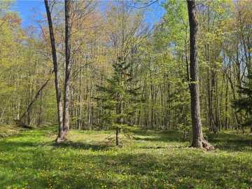 120 acres in Conrath