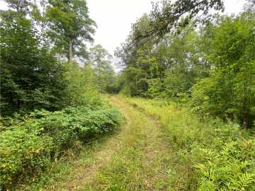 39.64 acres in Exeland