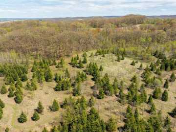 90 acres in Mondovi