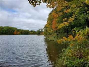 153.91 acres in Frederic