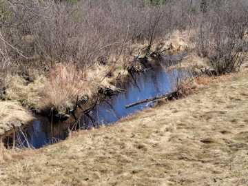 30.11 acres in Loretta