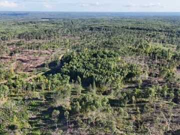 40 acres in Hayward