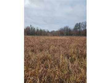 78.15 acres in Webster