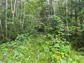 80 acres in Loretta