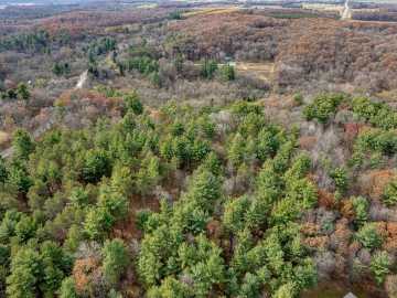 20.28 acres in Elk Mound