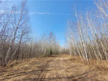 40 acres in Loretta