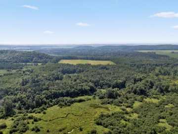 142 acres in Wheeler