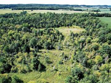80 acres in Osseo