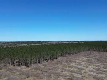40 acres in Barnes