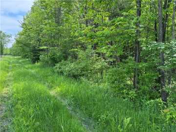 40 acres in Withee