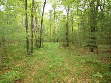 38.3 acres in Webster