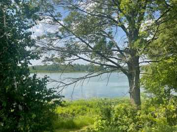 30.7 acres in Luck