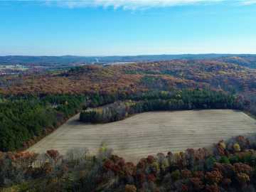 65.49 acres in Fairchild