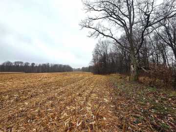 108.29 acres in Barron