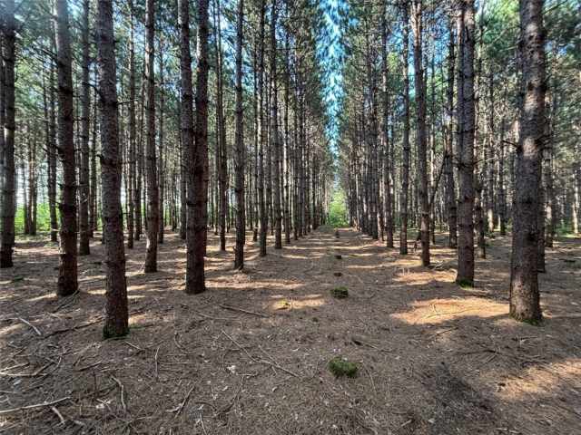 Fall Creek Land Real Estate