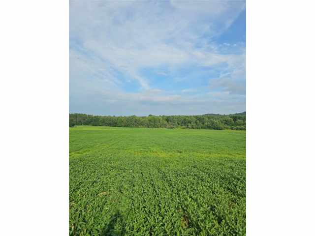 Fall Creek Land Real Estate