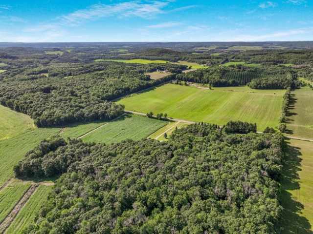 Colfax Residential Real Estate