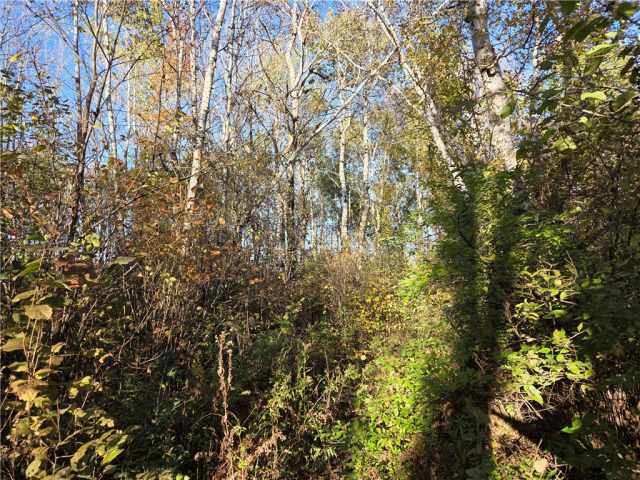 Rice Lake Land Real Estate