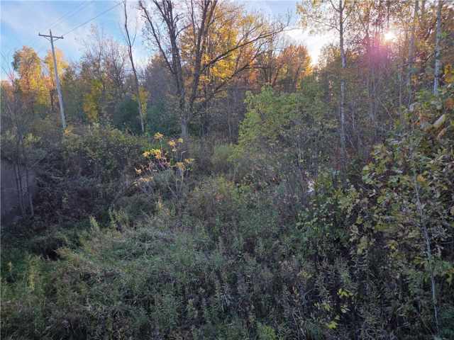 Rice Lake Land Real Estate