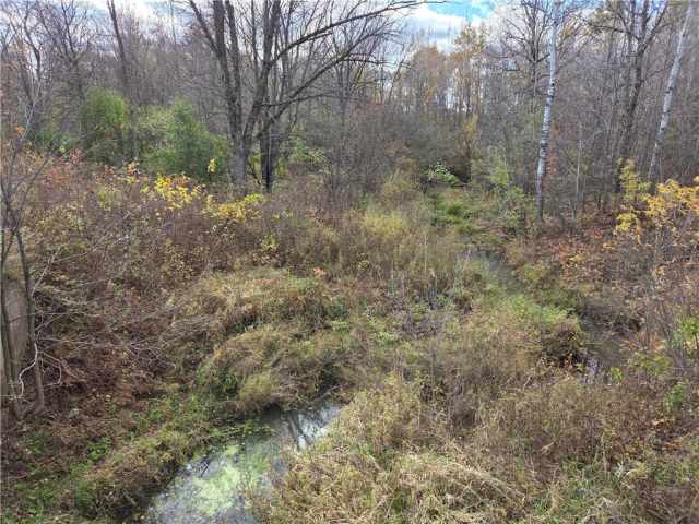 Rice Lake Land Real Estate