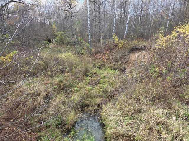 Rice Lake Land Real Estate