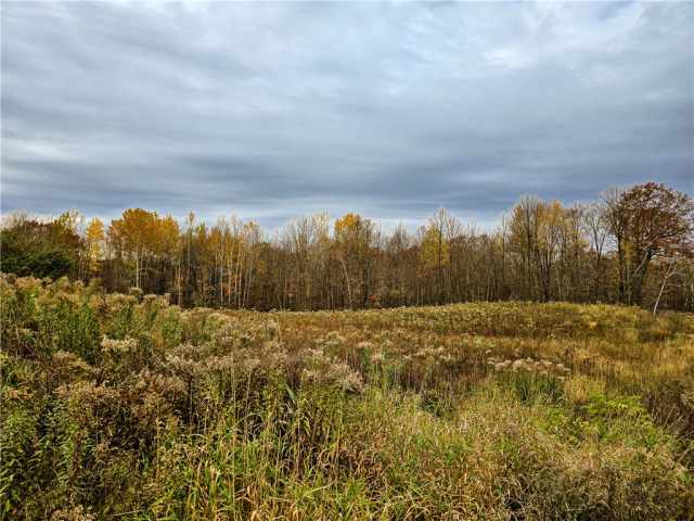 Cornell Land Real Estate