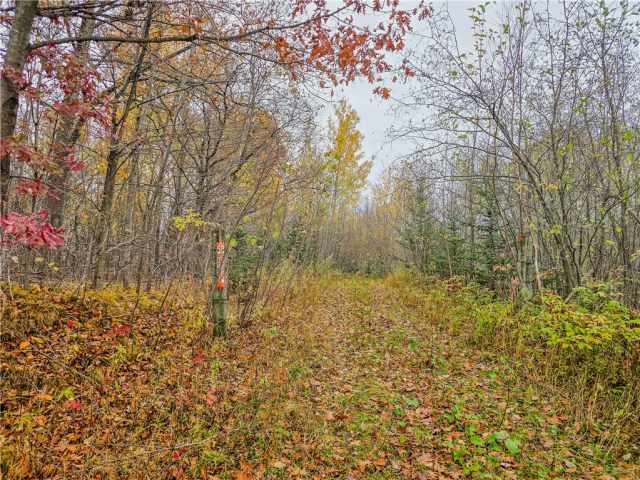 Cornell Land Real Estate