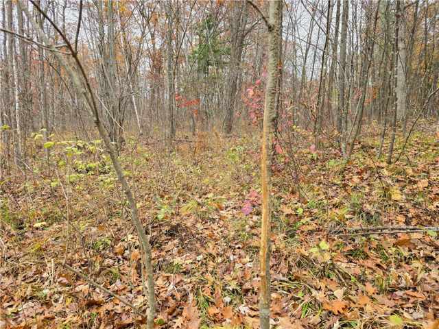 Cornell Land Real Estate