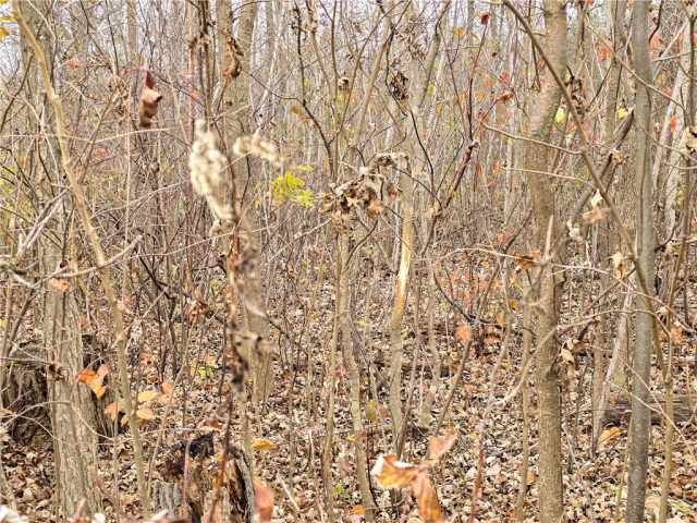 Cornell Land Real Estate